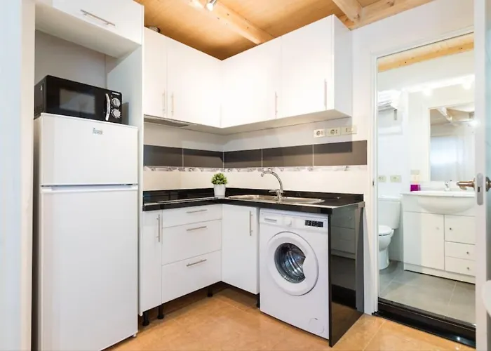 Palmas לאס פאלמס דה גראן קנאריה